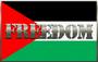 freedom for palestine
