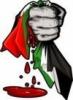 freedom for paLestine